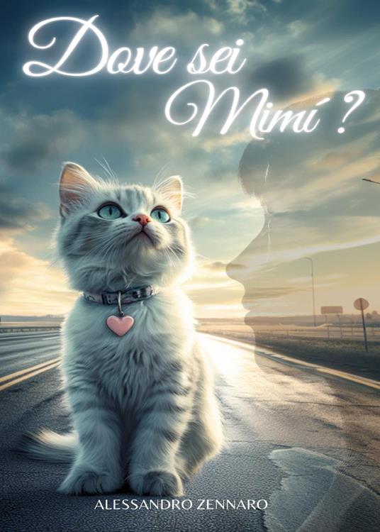 Dove sei Mimì? - Alessandro Zennaro - copertina