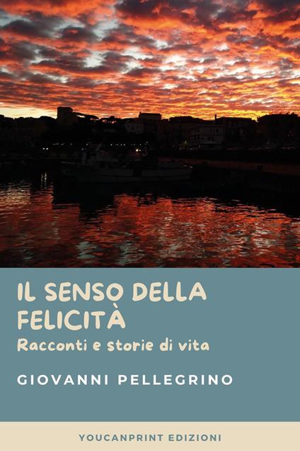 Il senso della felicità. Racconti e storie di vita - Giovanni Pellegrino - copertina
