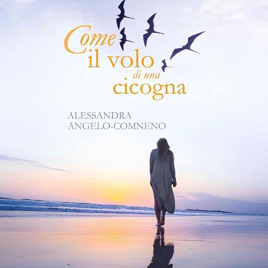 Come il volo di una cicogna