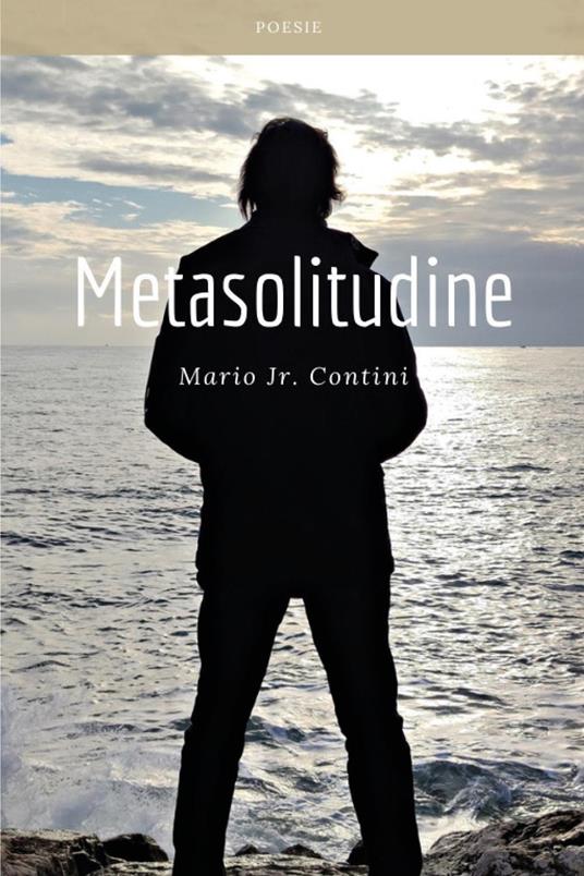Metasolitudine - Mario jr. Contini - copertina