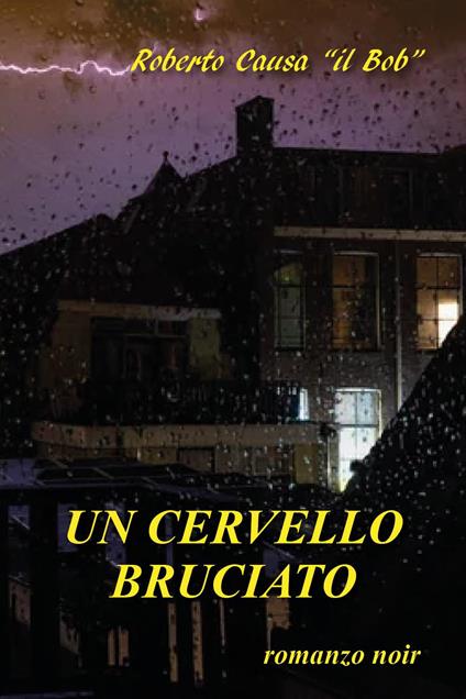 Un cervello bruciato - Roberto Causa - copertina