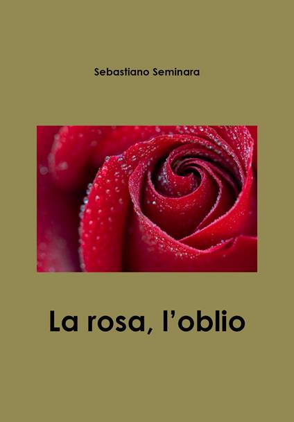 La rosa, l'oblìo - Sebastiano Seminara - copertina