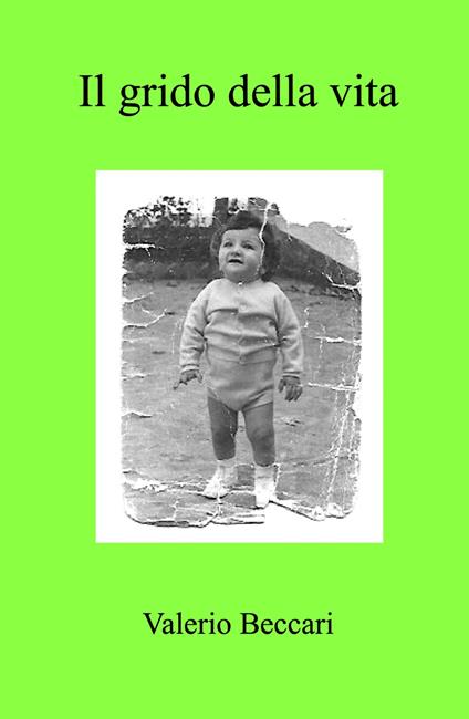 Il grido della vita - Valerio Beccari - copertina