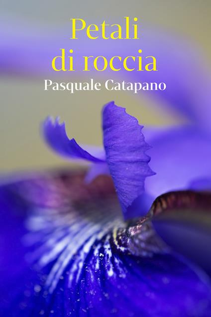 Petali di roccia - Catapano Pasquale - ebook