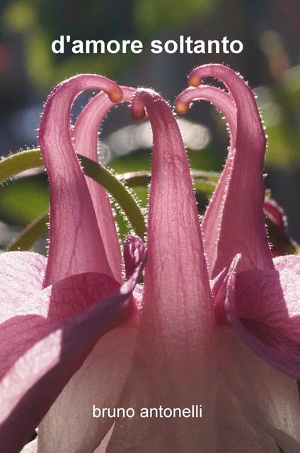 D'amore soltanto - Bruno Antonelli - copertina