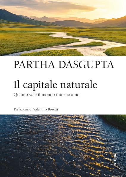 Il capitale naturale. Quanto vale il mondo intorno a noi - Partha Dasgupta - ebook