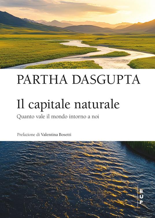 Il capitale naturale. Quanto vale il mondo intorno a noi - Partha Dasgupta - ebook