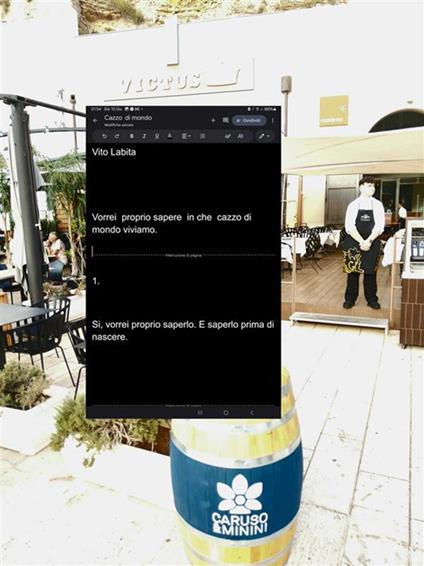 Vorrei proprio sapere in che cazzo di mondo viviamo. Si, vorrei proprio saperlo prima di nascere - Vito Labita - ebook