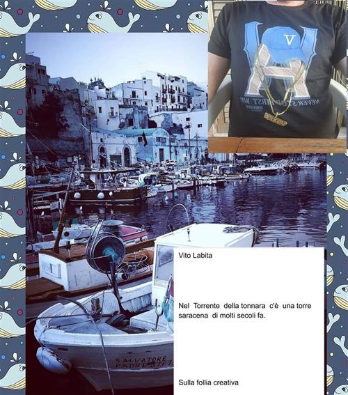 Sulla follia creativa. Nel torrente della tonnara c'è una torre saracena di molti secoli fa - Vito Labita - ebook