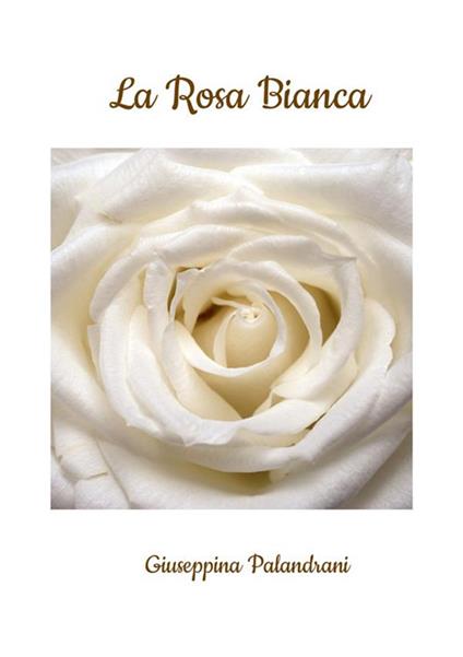 La rosa bianca - Giuseppina Palandrani - copertina