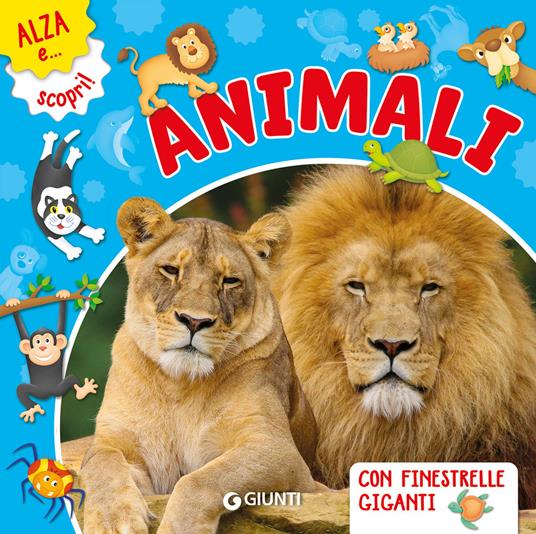 Animali. Ediz. a colori - Frida Rella - copertina