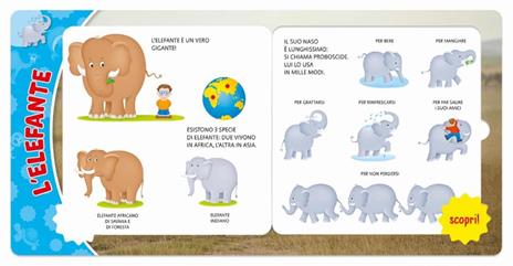 Animali. Ediz. a colori - Frida Rella - 2