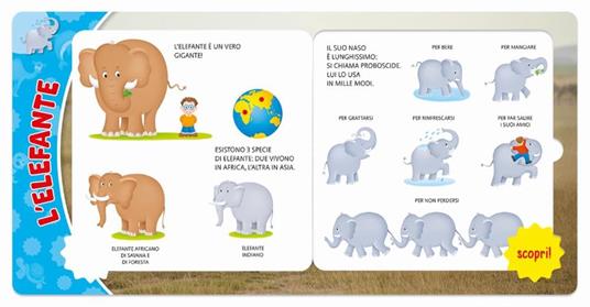 Animali. Ediz. a colori - Frida Rella - 2