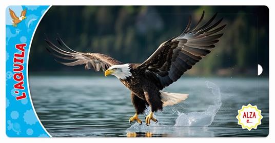 Animali. Ediz. a colori - Frida Rella - 3