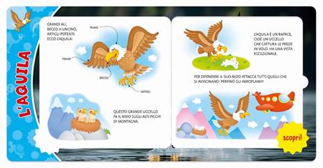 Animali. Ediz. a colori - Frida Rella - 4