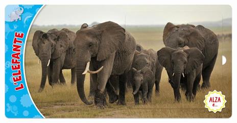 Animali. Ediz. a colori - Frida Rella - 5