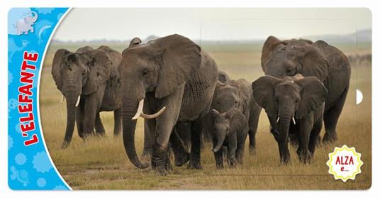 Animali. Ediz. a colori - Frida Rella - 5