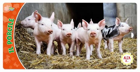 La fattoria. Ediz. a colori - Frida Rella - 5