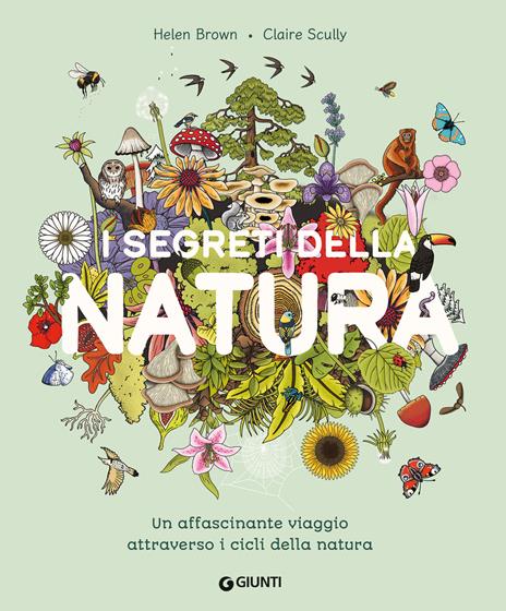 I segreti della natura. Un affascinante viaggio attraverso i cicli della natura. Ediz. a colori - Helen Brown,Claire Scully - copertina