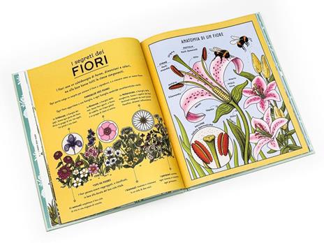 I segreti della natura. Un affascinante viaggio attraverso i cicli della natura. Ediz. a colori - Helen Brown,Claire Scully - 2