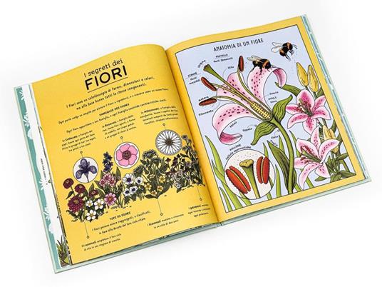 I segreti della natura. Un affascinante viaggio attraverso i cicli della natura. Ediz. a colori - Helen Brown,Claire Scully - 2