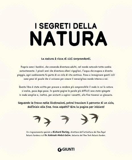 I segreti della natura. Un affascinante viaggio attraverso i cicli della natura. Ediz. a colori - Helen Brown,Claire Scully - 3