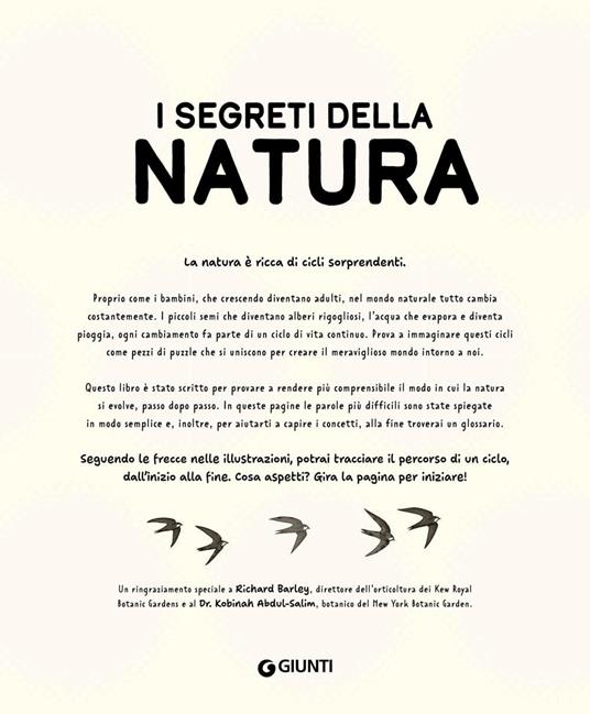 I segreti della natura. Un affascinante viaggio attraverso i cicli della natura. Ediz. a colori - Helen Brown,Claire Scully - 3