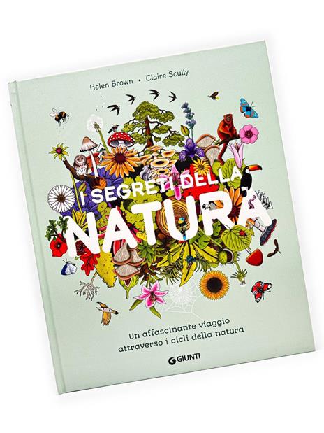 I segreti della natura. Un affascinante viaggio attraverso i cicli della natura. Ediz. a colori - Helen Brown,Claire Scully - 5