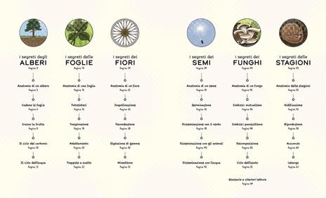 I segreti della natura. Un affascinante viaggio attraverso i cicli della natura. Ediz. a colori - Helen Brown,Claire Scully - 6