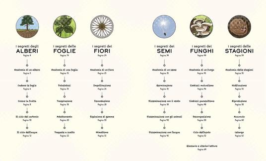 I segreti della natura. Un affascinante viaggio attraverso i cicli della natura. Ediz. a colori - Helen Brown,Claire Scully - 6