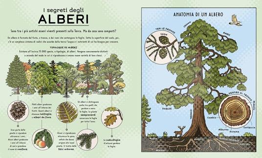I segreti della natura. Un affascinante viaggio attraverso i cicli della natura. Ediz. a colori - Helen Brown,Claire Scully - 7