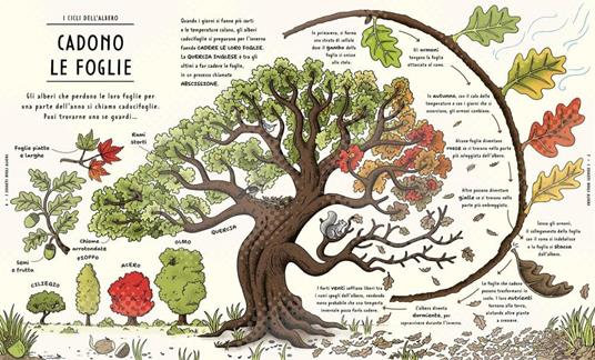 I segreti della natura. Un affascinante viaggio attraverso i cicli della natura. Ediz. a colori - Helen Brown,Claire Scully - 8