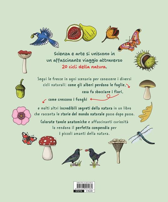 I segreti della natura. Un affascinante viaggio attraverso i cicli della natura. Ediz. a colori - Helen Brown,Claire Scully - 9