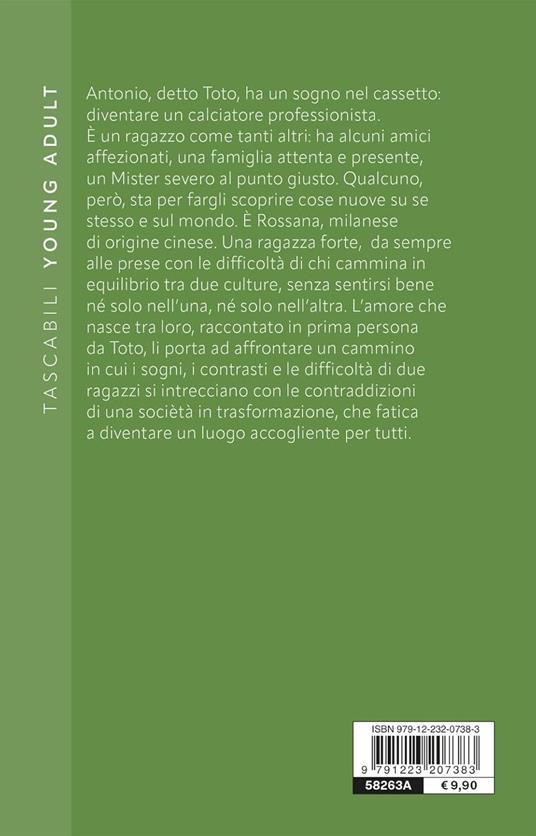 Non chiamarmi Cina! - Luigi Ballerini - 6