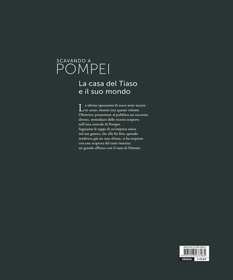 Scavando a Pompei. La casa del Tiaso e il suo mondo - 2