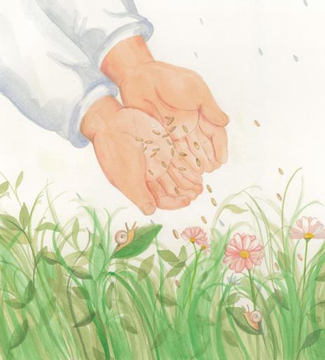 Fratellino chicco di riso. Ediz. a colori - Giorgia Cozza - 8