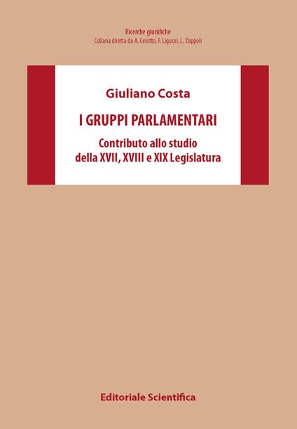 I gruppi parlamentari. Contributo allo studio della XVII,XVIII,XIX Legislatura - Costa Giuliano - copertina
