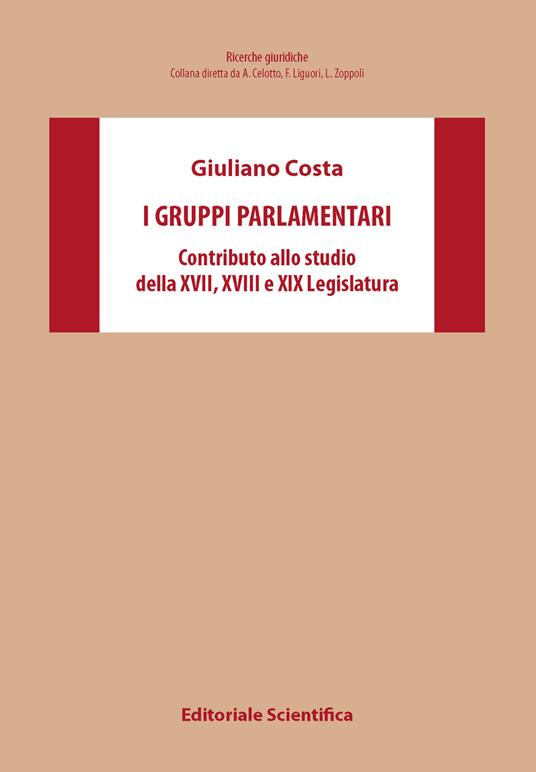 I gruppi parlamentari. Contributo allo studio della XVII,XVIII,XIX Legislatura - Costa Giuliano - copertina