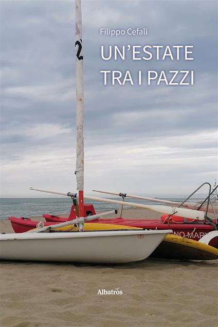 Un' estate tra i pazzi - Filippo Cefalì - ebook