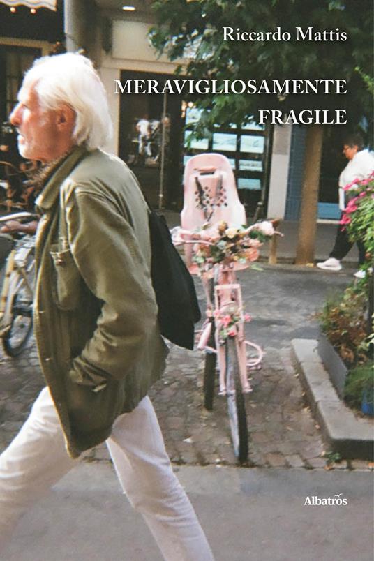 Meravigliosamente fragile - Riccardo Mattis - copertina