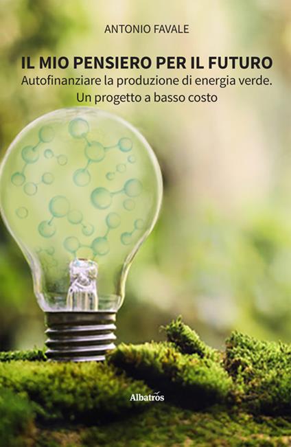Il mio pensiero per il futuro. Autofinanziare la produzione di energia verde. Un progetto a basso costo - Antonio Favale - ebook