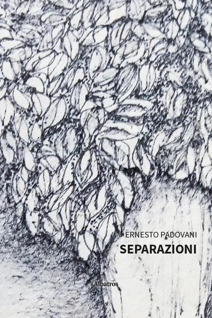 Separazioni - Ernesto Padovani - copertina