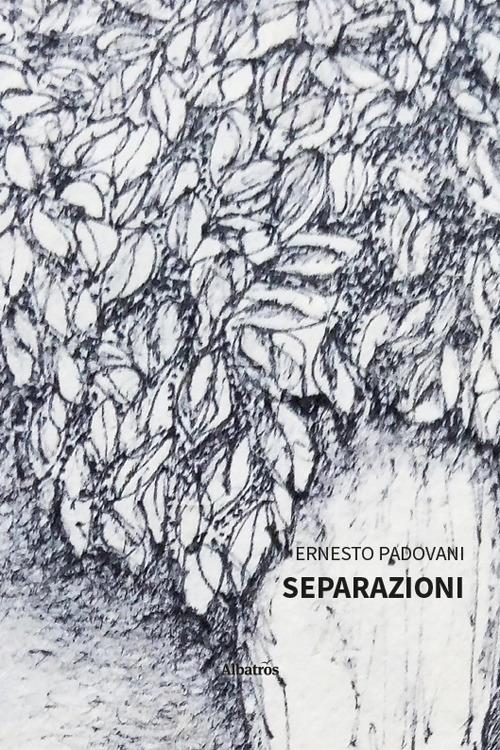 Separazioni - Ernesto Padovani - copertina