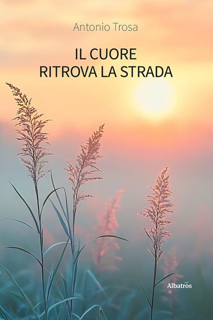 Il cuore ritrova la strada - Antonio Trosa - ebook
