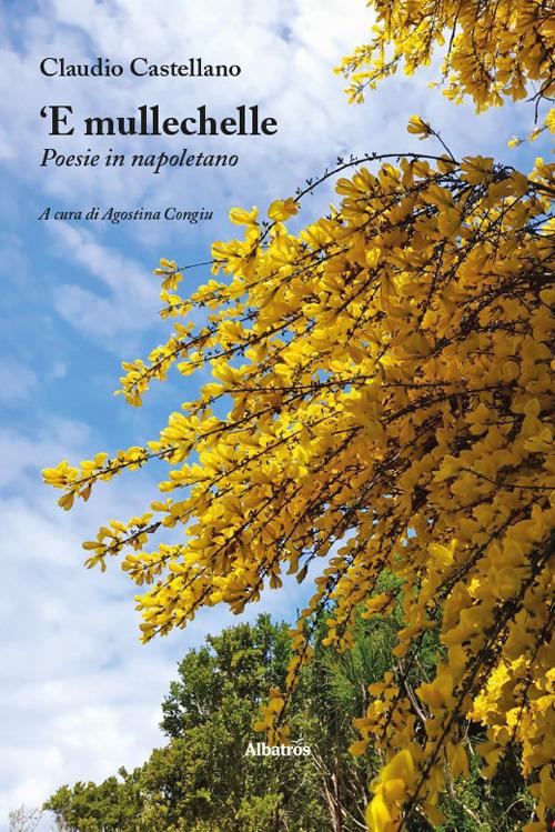 ‘E mullechelle. Poesie in napoletano - Claudio Castellano - copertina