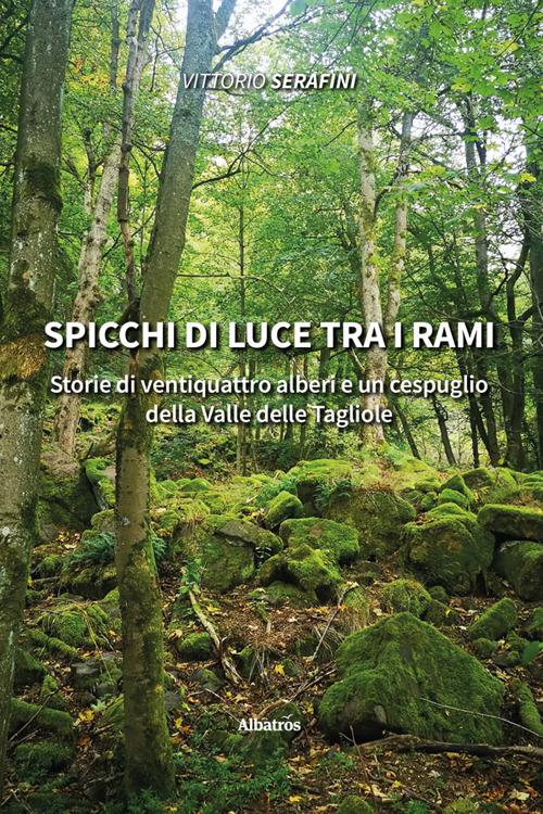 Spicchi di luce tra i rami. Storie di ventiquattro alberi e un cespuglio della Valle delle Tagliole - Vittorio Serafini - ebook