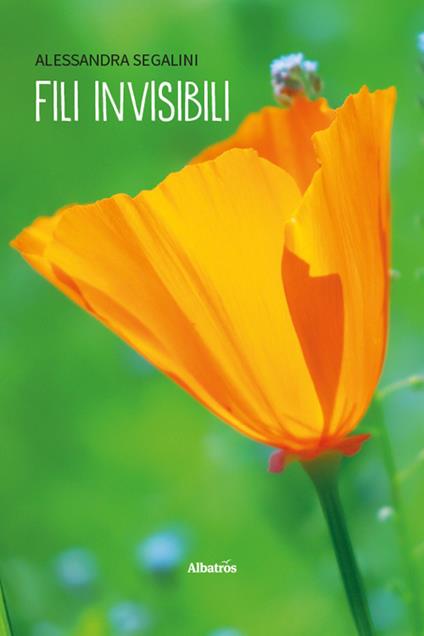 Fili invisibili - Alessandra Segalini - copertina