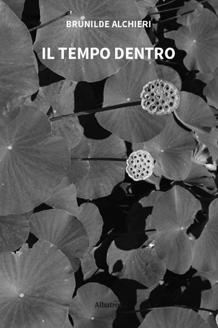 Il tempo dentro - Brunilde Alchieri - copertina