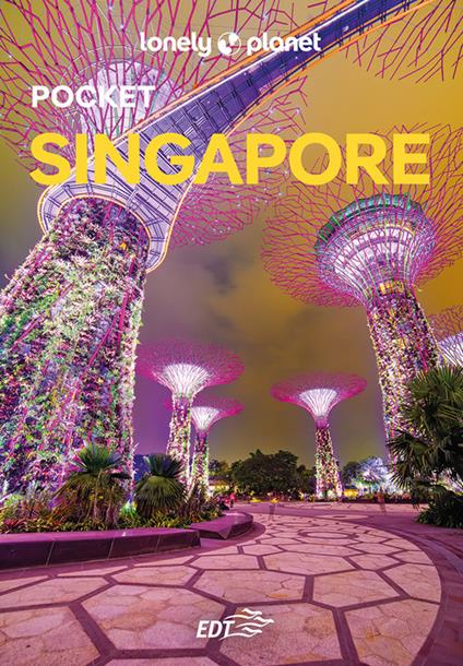 Singapore - Lidia Salvati - ebook