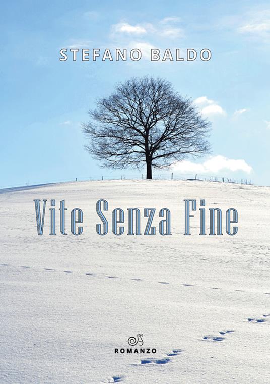 Vite senza fine - Stefano Baldo - copertina